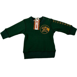 Bit'z Kids Dinosaur Sweatshirt Baby 3-6 Months Green Graphic Crew Neck New